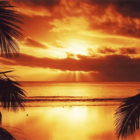 Lovely Sunset Holidays Apartament Apartament *